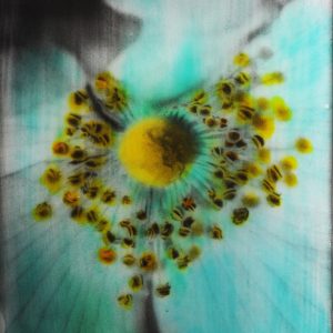 Fleur, le rêve des abeilles, 2025